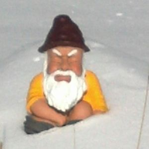 Meet your Posher, Tim